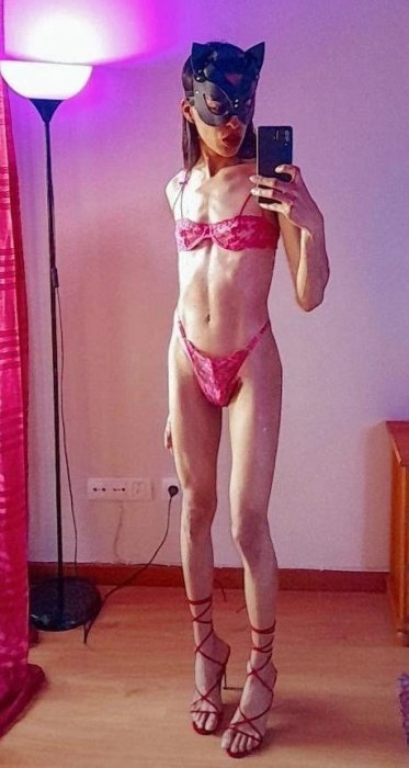 Stella - foto 3