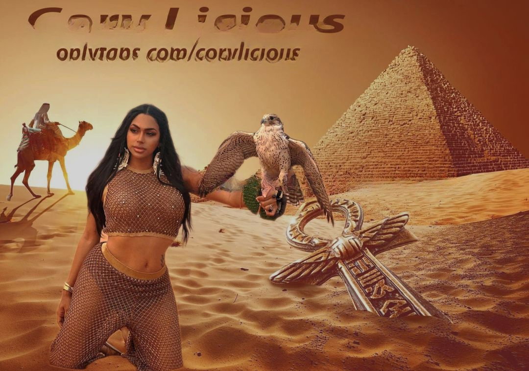 Fantasy Ts - foto 9