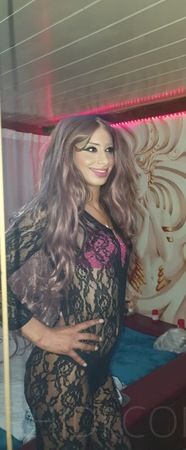 Trans Petra Ganz Neu - foto 12