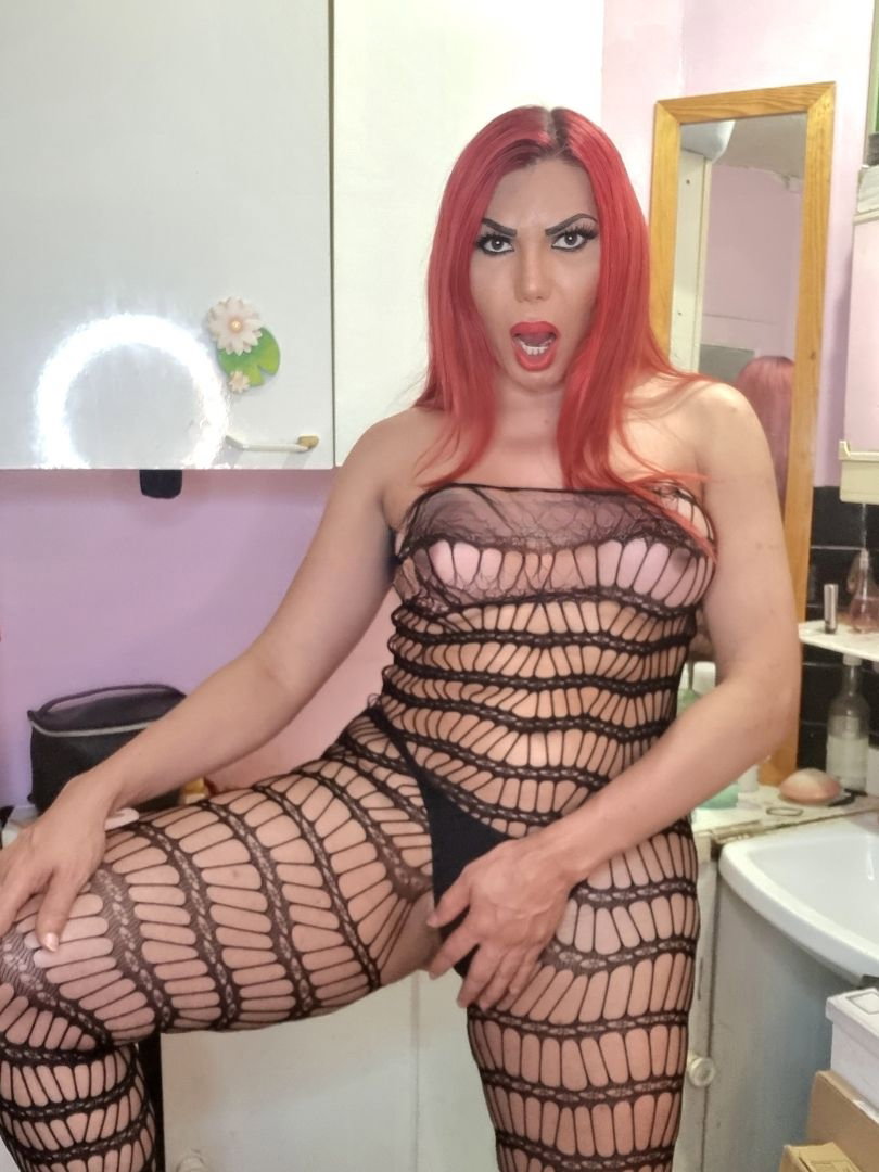 Ariel Ferreira - foto 8